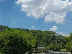 -点都德(广州白云山景区南门店)