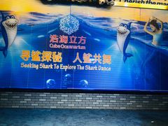 -成都浩海立方海洋公园