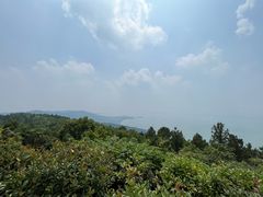 -美味之家·湖景农家乐(太湖东山店)