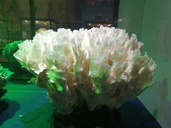 -游龙石文化科普馆