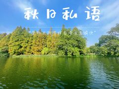 -西湖游船