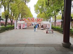 -南汇桃花村