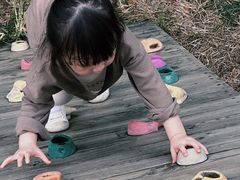 -田园东方蜜桃村的田野营地