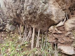 -云岫谷游猎自然风景区