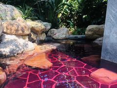 -美的鹭湖森林度假区