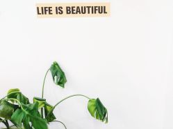 -杨丹国际美学肌研所