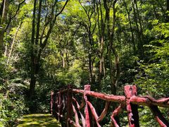 -广州市石门国家森林公园