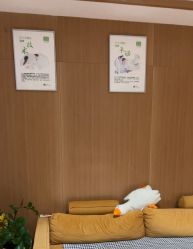 -Dr.林醫生产后修复·配方产康店(南京大厂店)