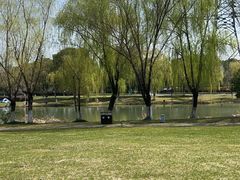 -九里河湿地公园
