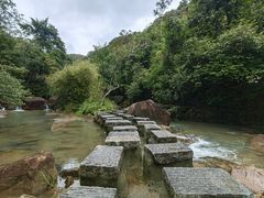 -广州白江湖森林公园