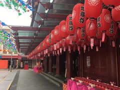 -新加坡佛牙寺龙华院