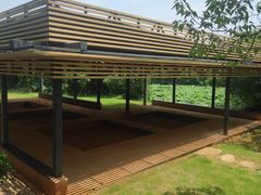 -盘龙城国家考古遗址公园