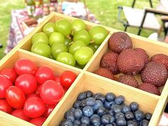 -苏州吴中太湖旅游区