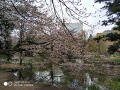 -北海道厅旧本厅舍(旧本庁舎)