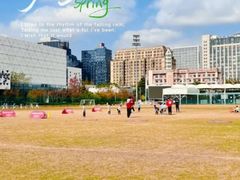 -黄龙魔方运动培训·棒球·橄榄球