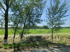 -黑龙江扎龙生态旅游区