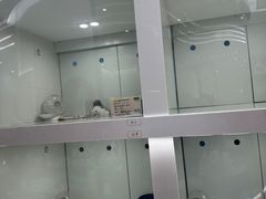 -1013 PET SHOP精品宠物商店(丁香店)