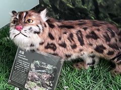 -房山世界地质公园博物馆