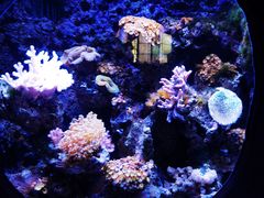 -南昌海洋公园