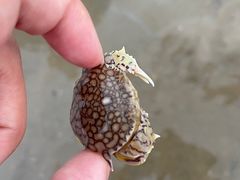 -银滩滨海旅游度假区