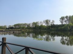 -溱湖国家湿地公园