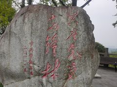 -重庆园博园