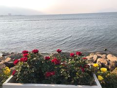 -大理洱海