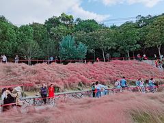 -牛岗山公园