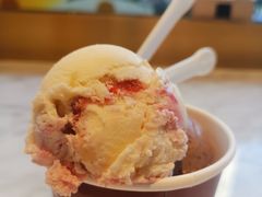 哈根达斯单球-哈根达斯(西安北郊店)