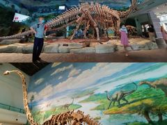 -自贡恐龙博物馆