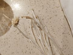 -蜀留香火锅·始于1999·原四川老火锅(白堤路店)
