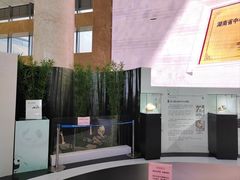 -湖南省地质博物馆