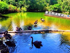-海南热带野生动植物园