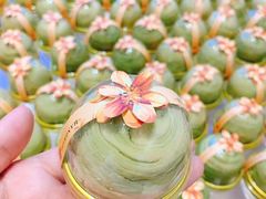 -蜜津私房蛋糕(缤纷亚洲店)