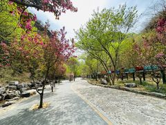 -十渡东湖港风景区