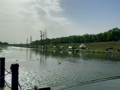 -洨河生态公园