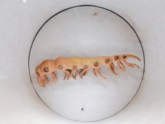 -河南自然博物馆