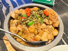 -新白鹿餐厅(虹桥南丰城店)