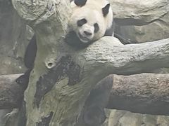 -宁波野生动物园