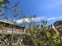 -潭柘寺景区