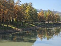 -三林本帮馆(中林街店)