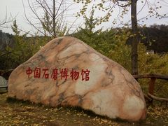-千年银杏谷文化旅游区