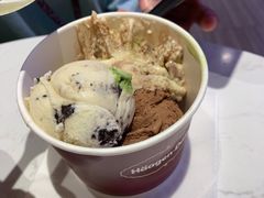-哈根达斯(皇城恒隆广场店)