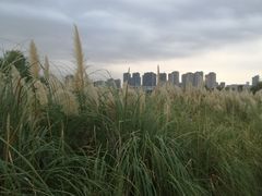 -三垟湿地