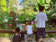 -祥源·阜阳生态乐园