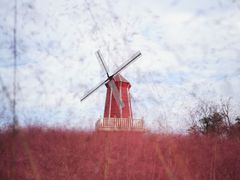 -羊亭河湿地公园