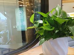 -椰小名·竹笙椰子鸡(中堂店)