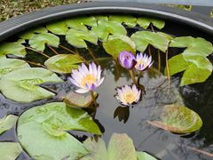 -云溪植物园