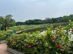 -东莞植物园