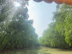 -大湾区中央湿地公园
